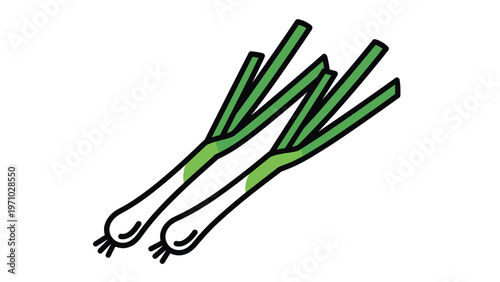 Two fresh green onions with white bulbs and long green stalks are shown diagonally against a white background in a detailed vector drawing.