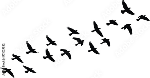 Flying bird silhouettes in formation vector illustration, minimalist black flock design for wildlife, migration concept, nature logo, and abstract outdoor branding