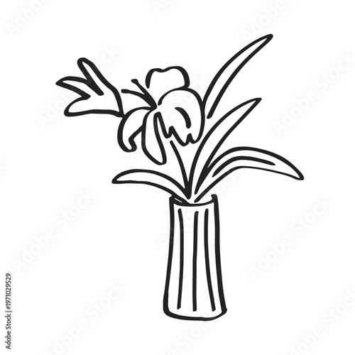 Flowers in vase, outline contour drawing. Floral bouquet, spring blossoms, ha...