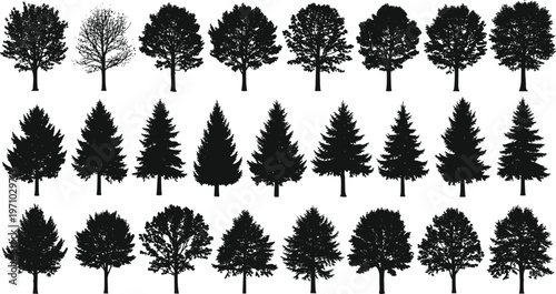 Large collection of tree silhouettes including deciduous and conifer varieties, detailed black isolated vector set for forest, landscape and design projects
