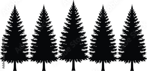 Pine tree silhouettes vector set with evergreen conifer trees, black forest illustration for nature design, woodland landscape, logo, and outdoor branding