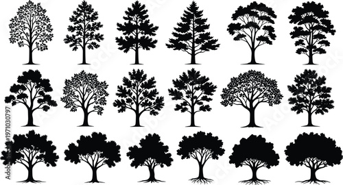 Set of detailed tree silhouettes collection featuring various deciduous and evergreen forest trees, black isolated vector elements for landscape and design projects