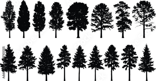 Set of tree silhouettes collection, pine and deciduous forest trees, detailed nature vector illustration isolated on white background