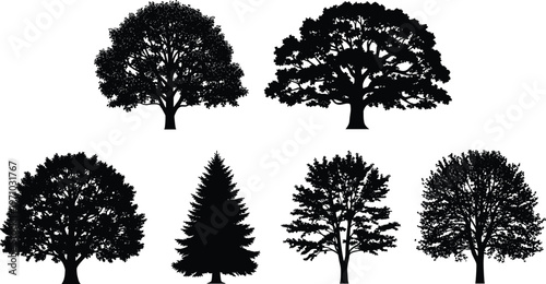 Tree silhouettes collection featuring oak, pine and deciduous varieties, detailed black isolated vector set for forest, landscape and nature design