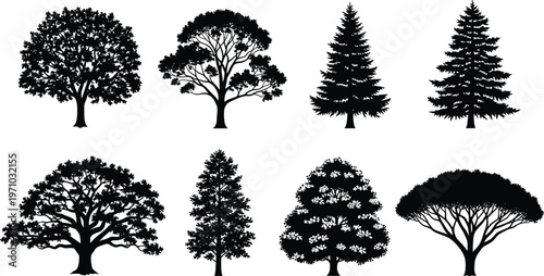 Tree silhouettes vector collection with various deciduous and evergreen trees, black nature illustration set for landscape design, logo, and outdoor branding