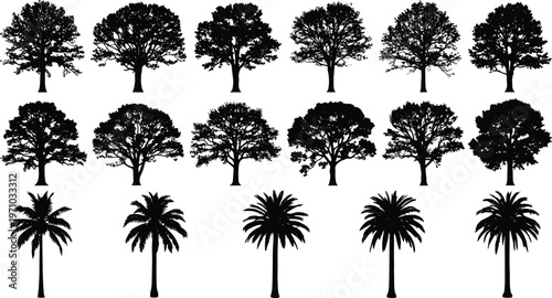 Collection of tree silhouettes featuring oak, tropical palm and deciduous varieties, detailed black isolated vector set for landscape and nature design