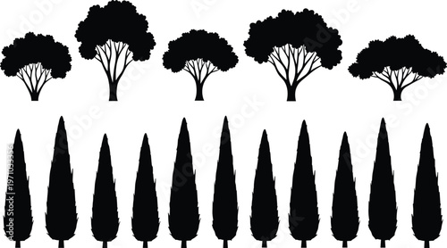 Collection of tree silhouettes set, diverse forest shapes including deciduous and conifer trees, black isolated vector illustration for landscaping design use