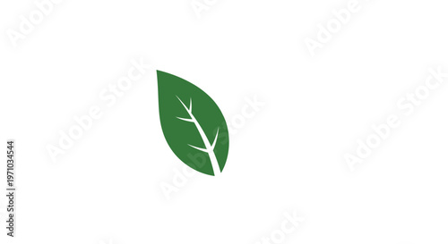 Green leaf with white veins.