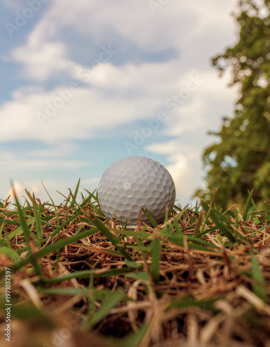 Golf Ball on Green: A close-up perspective of a pristine golf ball resting peacefully amidst the verdant, meticulously manicured grass of a golf course, under a cerulean sky with scattered clouds.