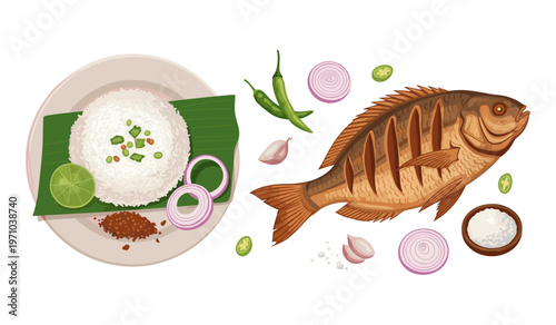 Illustrative Aquarium Fish and Plant Vector Art for Designers