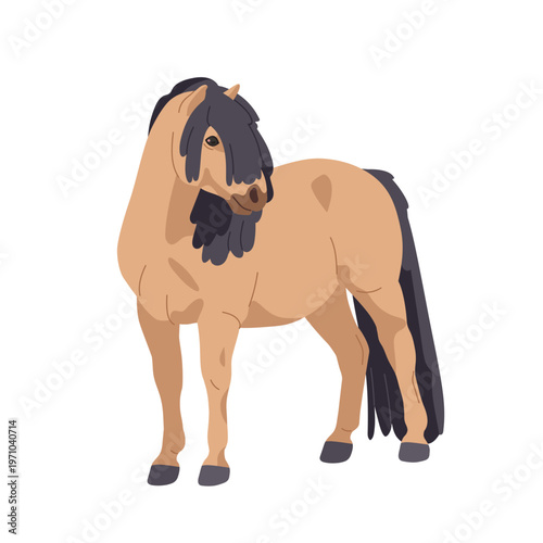 Pony, dwarf horse, mini equine animal breed. Little small purebred livestock. Thoroughbred foal with long mane and tail, standing. Flat vector illustration isolated on white background