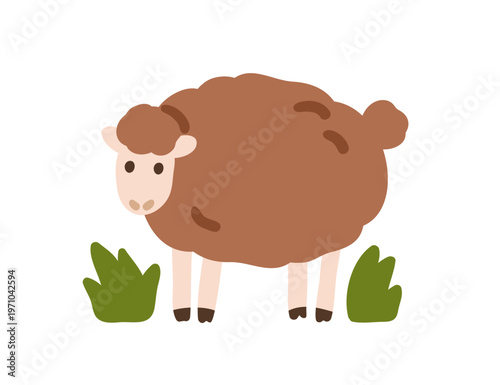 Cute baby sheep. Fluffy farm animal in countryside. Adorable kawaii ewe, lamb in country nature. Domestic fauna. Rural flat graphic vector illustration isolated on white background