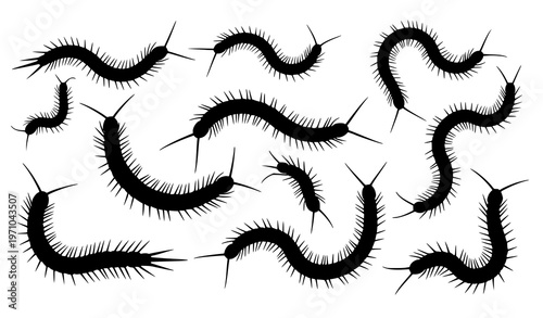 Minimalist centipede silhouette vector illustration set for icons, stickers, and educational graphics