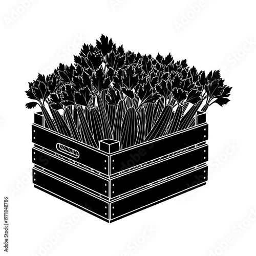 Fresh Harvest: A wooden crate overflows with vibrant celery, showcasing the crisp stalks and leafy greens of the nutritious vegetable. Capturing the essence of freshness and the bounty of the harvest.