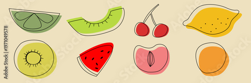 Colorful summer fruits art vector set with sliced lime, kiwi, peach, watermelon and orange.