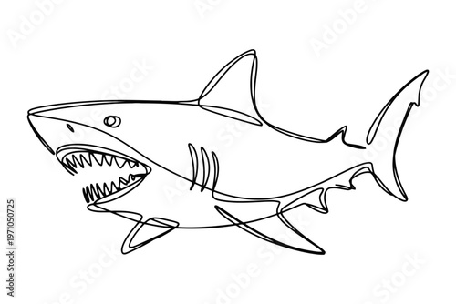 Black and white line of a shark with sharp teeth and pointed fins line black and white marine life