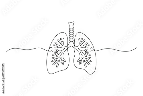Hand drawn black and white line of human lungs with bronchial trees line black and white
