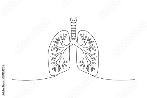 Minimalist continuous line of human lungs with bronchi and bronchioles line continuous line minimalist