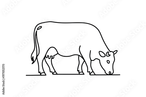 Simple line of a cow grazing with its head down line black and white minimalist animal