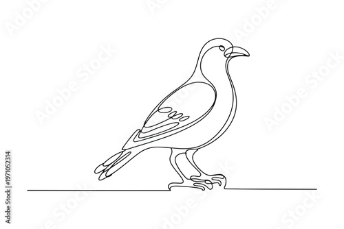 Single line of a hawk with detailed feathers and beak bird line single line continuous line minimalist