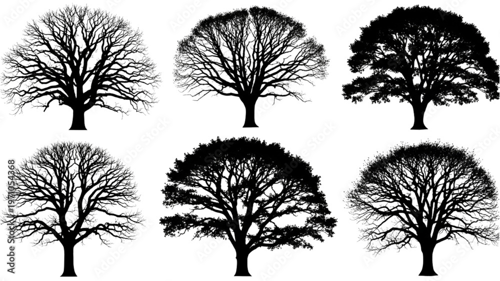 Obraz premium Vector CAD design features various tree silhouettes in different seasons.