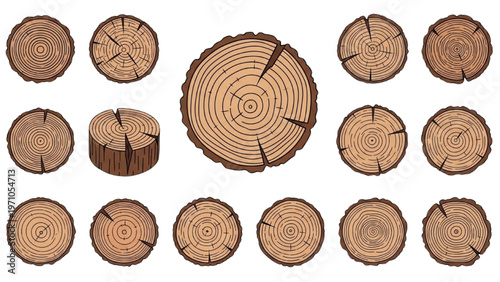 Vector CAD design of various tree trunk cross-sections on white