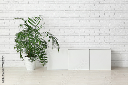 Stylish cabinet and housepl...