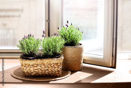 Mat and pots with lavender ...