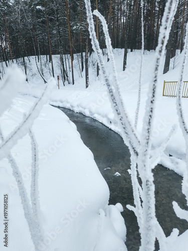Snowy river flows through forest with frozen branches at winter midday