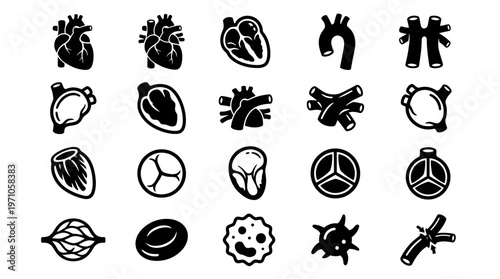 Medical Cardiovascular Anatomy Icons Set