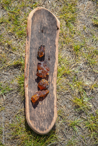 A ritual wooden dish with natural resin, the smoke rite at an indigenous community event in Australia