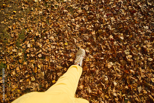 Bright yellow pants and white sneakers walking through colorful autumn leaves on a sunny day in the park