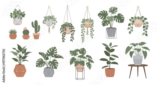 Flat Style Collection of Potted Houseplants for Home Decor and Gardening Designs