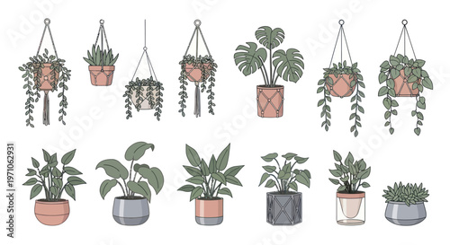 Potted and Hanging Houseplants Line Art Collection for Home Decor and Gardening