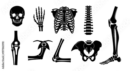 Medical Anatomy: Human Skeleton Bones and Joints Black Glyph Icons Vector Set