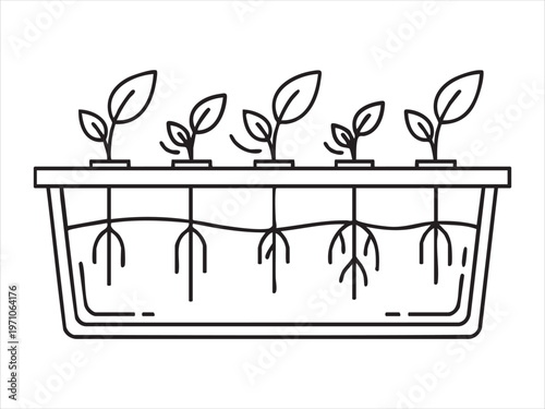 A planter box with several small plants growing in water