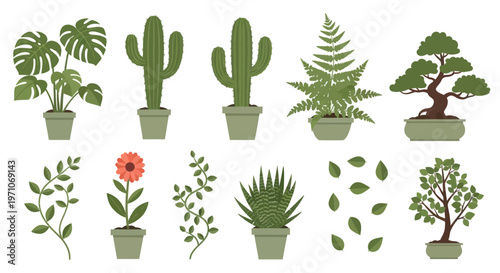 Flat Vector Gardening  Home Decor Potted Plants Collection: Cacti, Ferns, Bonsai