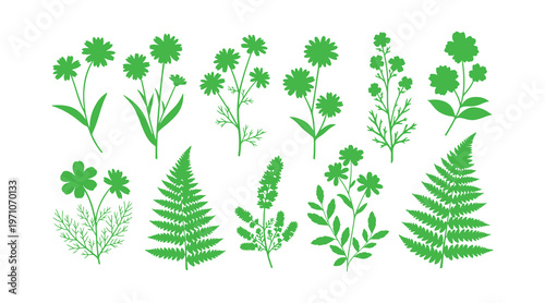 Group of flowers, leaves, and floral stems. Wild plant illustration with a grunge brush effect. Botanical components. Vector design