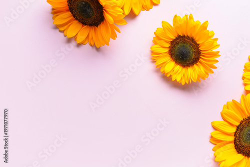 Beautiful sunflowers on pin...