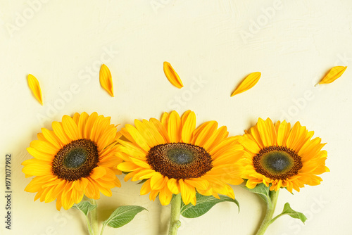 Beautiful sunflowers and pe...
