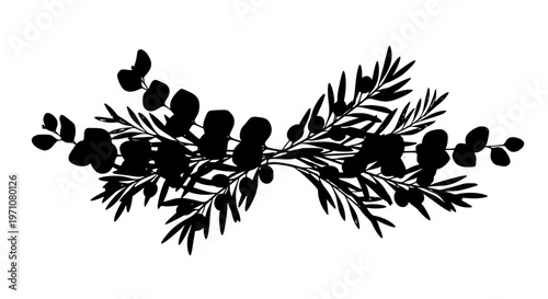 Botanical Greenery Set with Eucalyptus Leaves and Olive Branch Vector