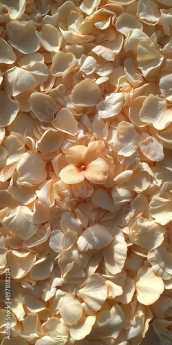 Elegant and Delicate Floral Petals Pattern for Wedding Concepts and Beautiful Background Designs