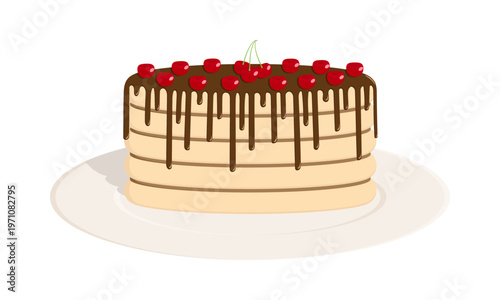Sponge cake with dark chocolate icing and cherries. White background.