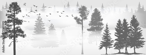 cold gray coniferous forest with fog and a flying flock of birds on a gray background