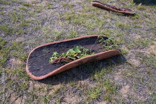 A ritual wooden dish with Australian plants, the smoke rite at an indigenous community event in Australia