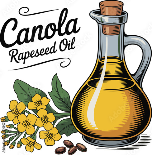 Canola Oil Bottle with Rapeseed Flowers and Seeds, Vector Illustration, Stock Media