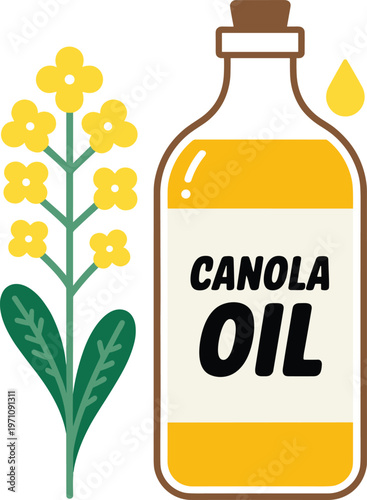 Canola Oil Bottle 