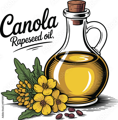 Canola Rapeseed Oil Bottle 