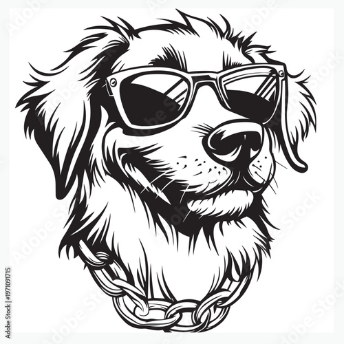 dog in sunglasses