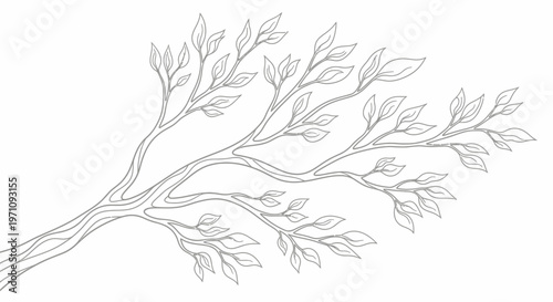 Hand-drawn Tree Branch with Leaves Outline Illustration